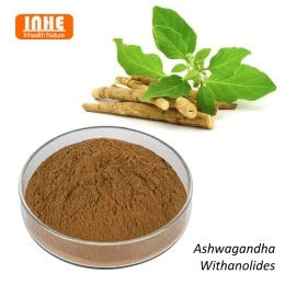 Uitgebreide oplossingen voor het adaptogene ingrediënt Ashwagandha Withanolides