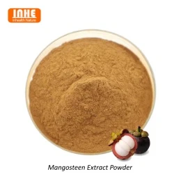 Wat zijn de toepassingen van mangosteenextract in de mondgezondheid?