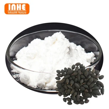 1-Saw Palmetto Berry Extract Powder