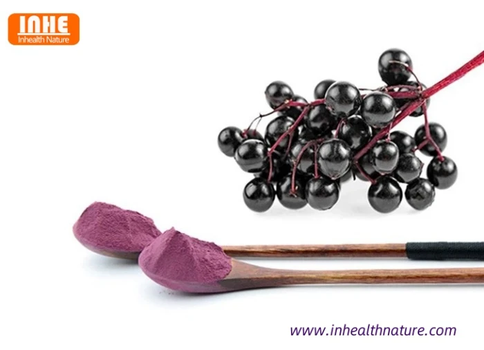 Elderberry Extract Powder