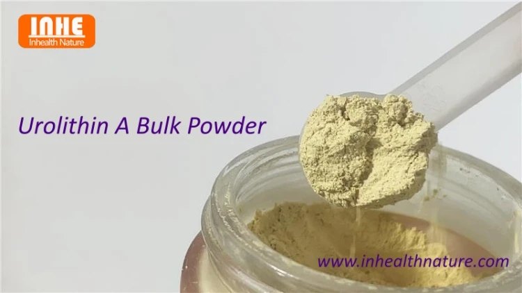 Urolithin A Bulk Powder